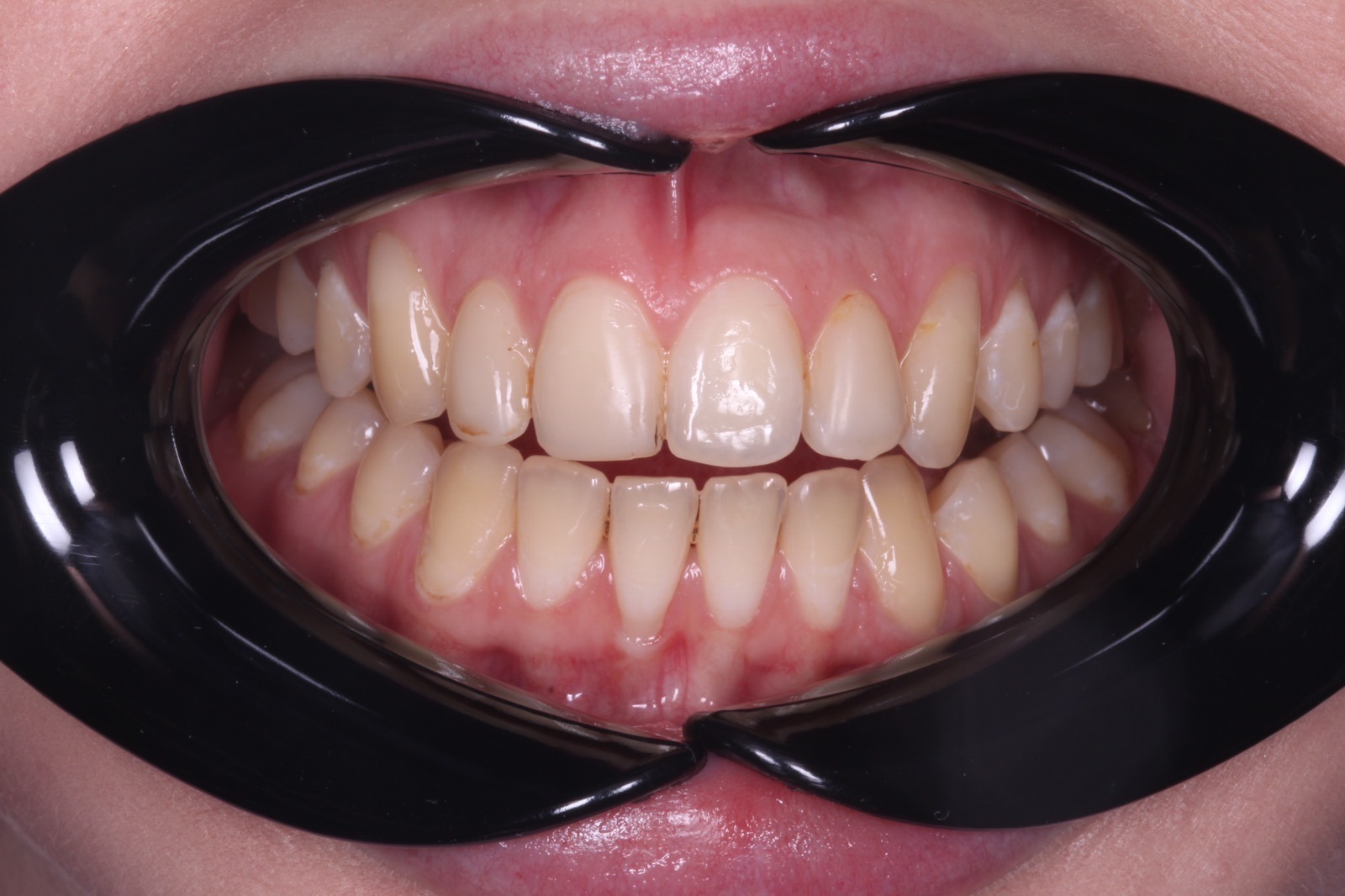 1972e41d-e1ca-44ea-bb2d-9903bd5fa5be