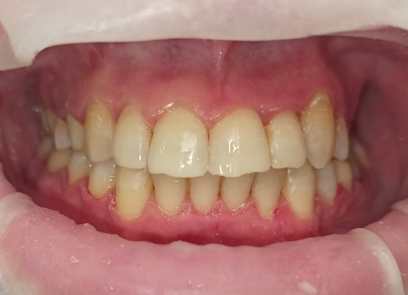 8511cc65-cc8a-4894-a7c6-fd9f726ab3a2