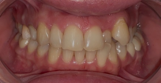 c3325ead-269b-4c91-854d-9feef17604e2