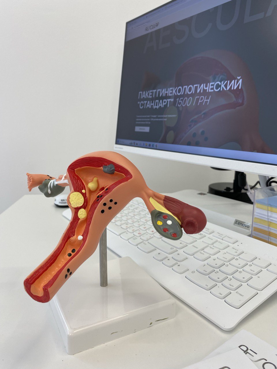 87FD0FFA-6E82-4130-907D-FEBA9F05D8E0