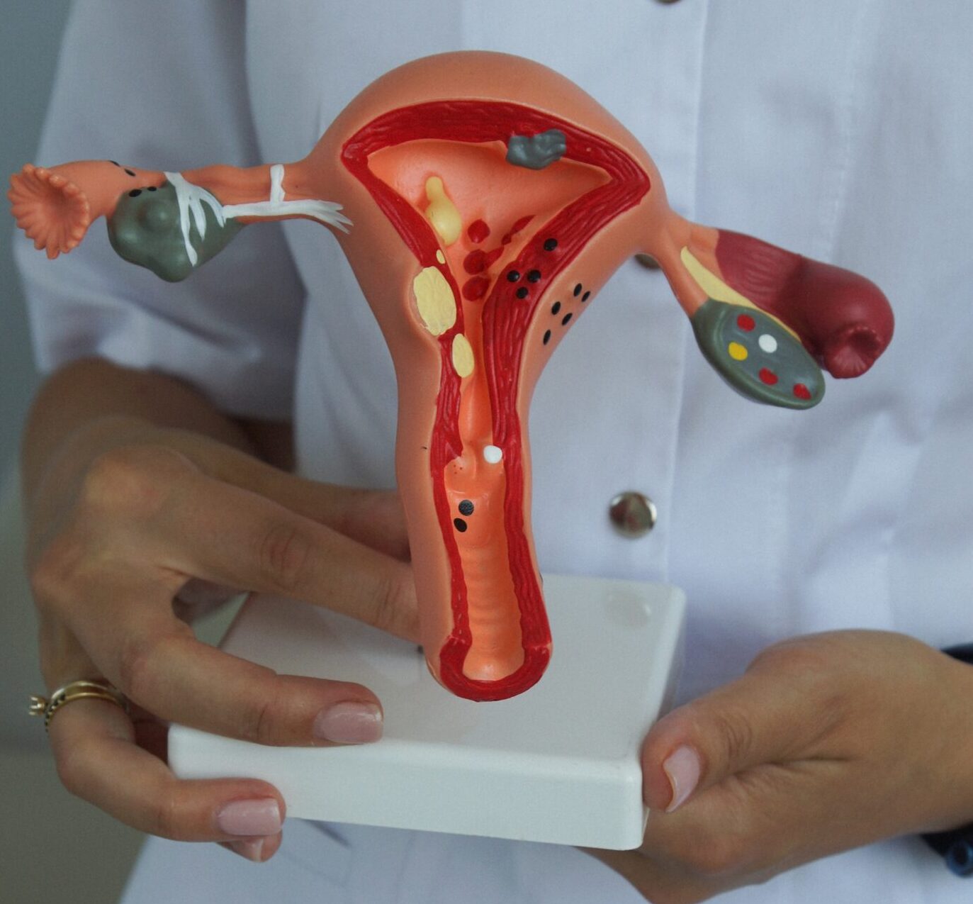 A14BE5C0-B322-496B-BB0A-4181E6DC1F2B