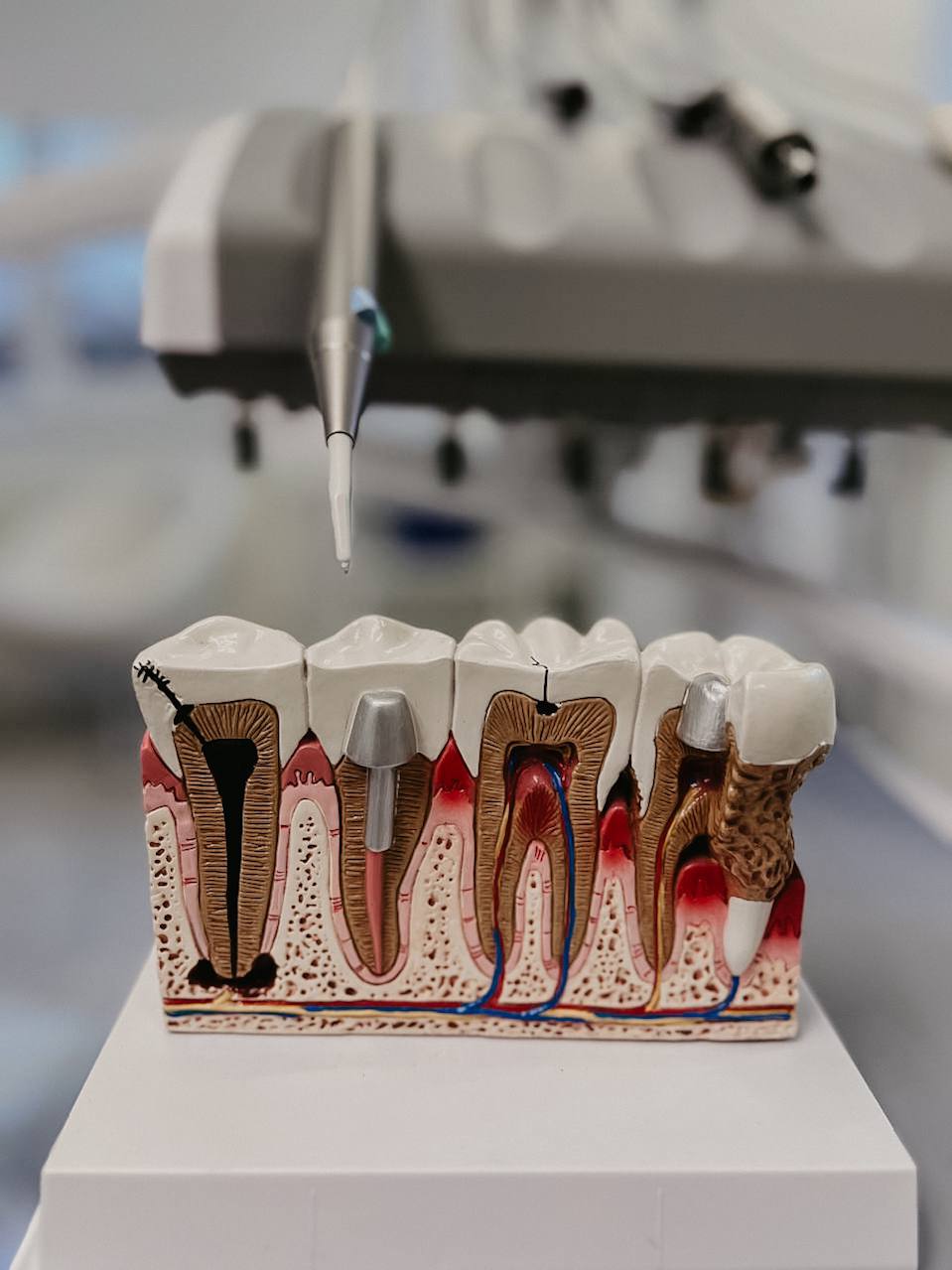 1B4B3681-4378-4DF4-A3DE-740769CFCE22